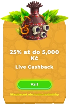 Cashback v reálném čase