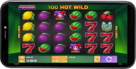 Hrát Automat 100 Hot Wild Online Zdarma a Recenze Hry 44