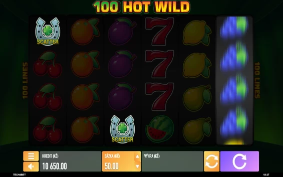 Hrát Automat 100 Hot Wild Online Zdarma a Recenze Hry 36