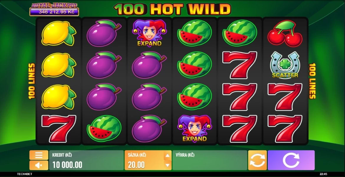 Play in 100 Hot Wild automat zdarma for free now | NejlepsiOnlineCasina