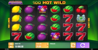 Play in 100 Hot Wild for free now | 