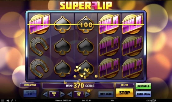 Super Flip slot