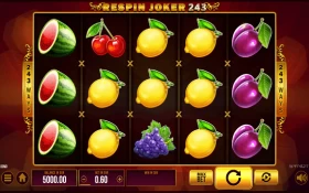 Play in Respin Joker 243 for free now | 